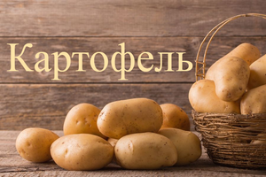 Польза и вред картофеля для здоровья!