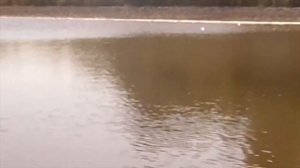 ПРУД ПО КОЛЕНО, а РЫБЫ ПОЛНО! ПОПЛАВОК ПРЁТ, УДОЧКУ ГНЁТ! Рыбалка на поплавок в пруду на карася