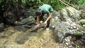 found a lost boy in the forest, farm life, survival alone