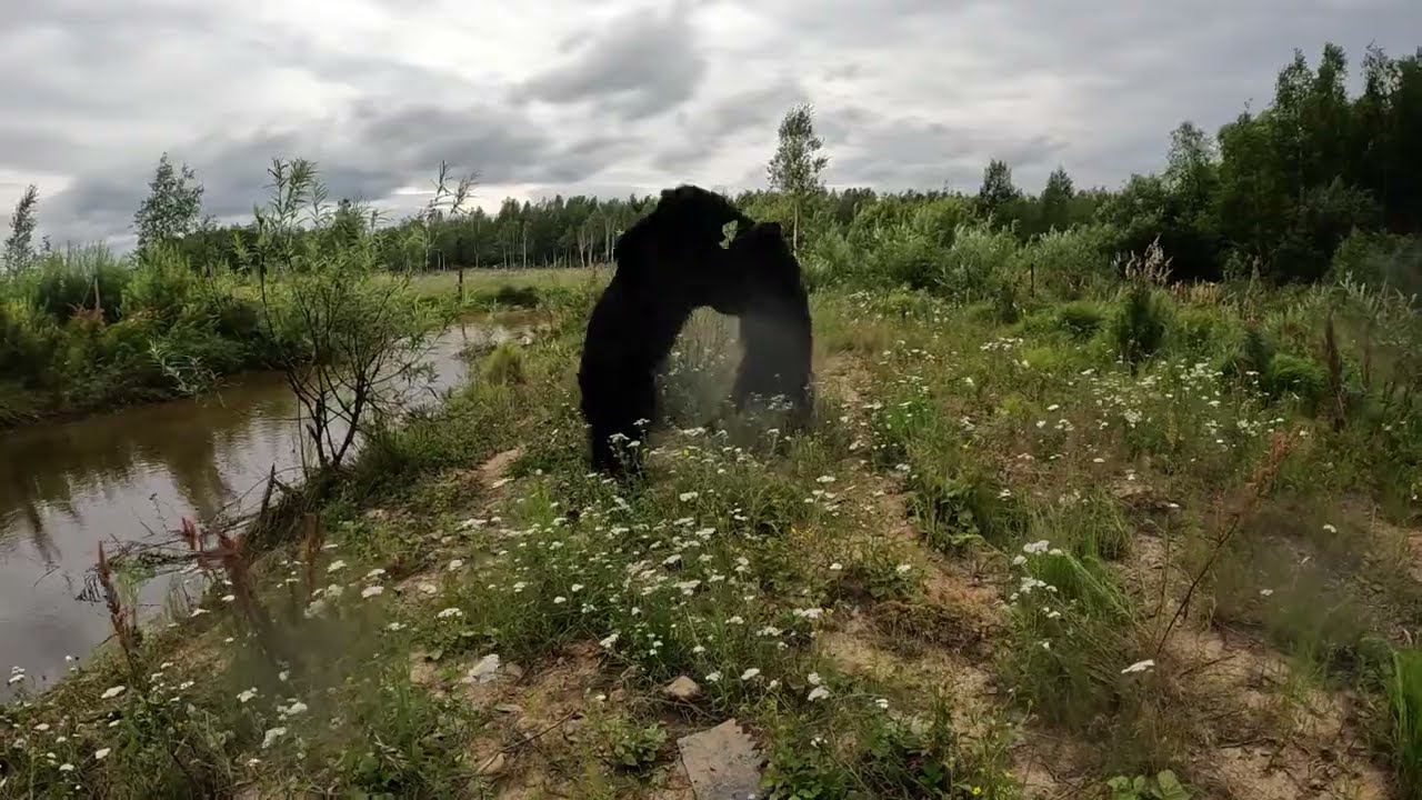 Буржуй утопил Дуську. Медведь. смотреть онлайн