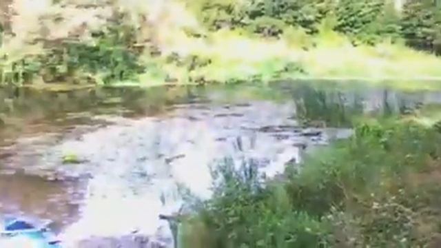 born2fish - река Анграпа, лето, утро