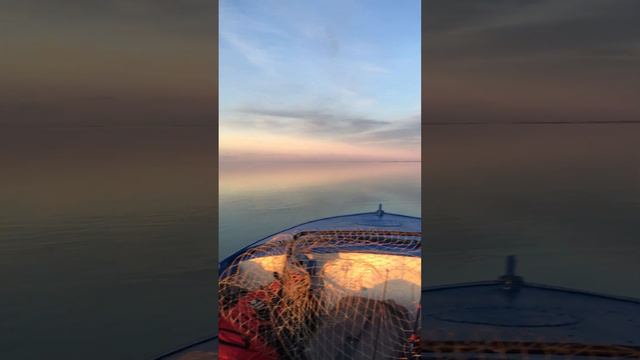 Лодка ОБЬ1 Mercury(Меркурий)9.9 смотреть онлайн