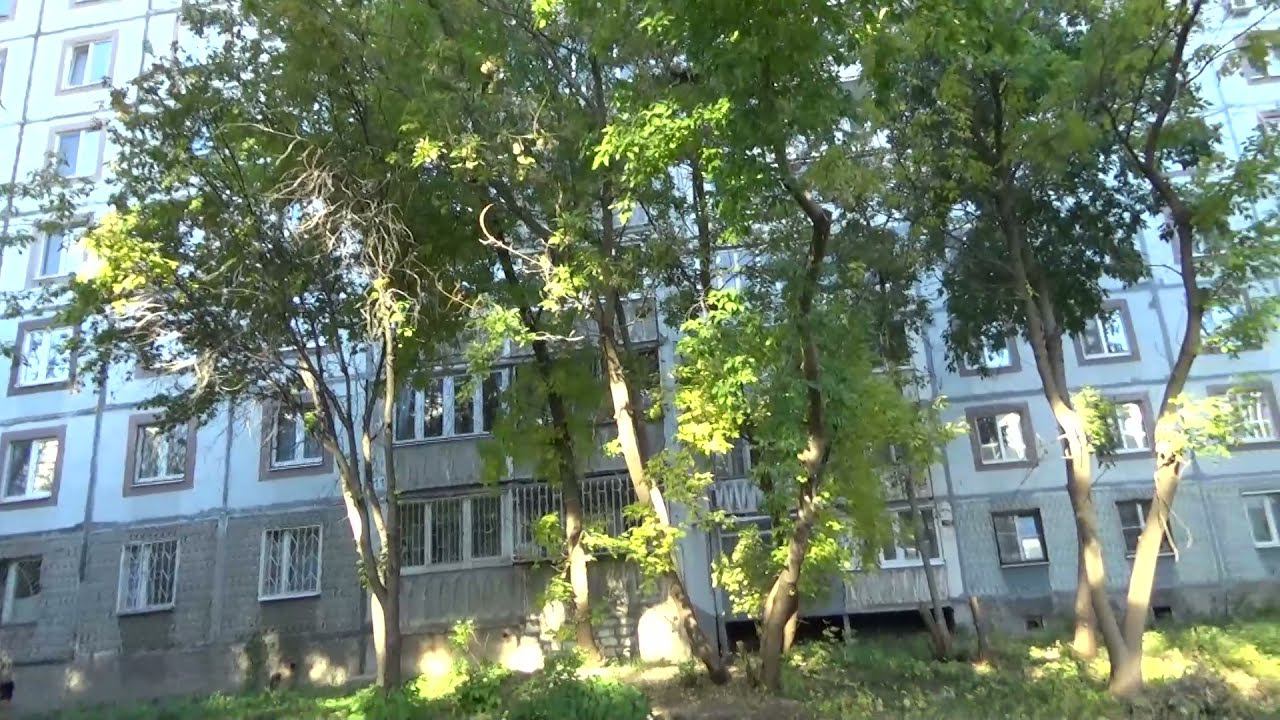 Art Manij VLOG Солнечные зайки на природе