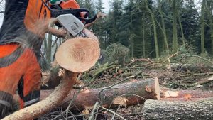 Stihl MS 170 , 30 cm PMM3 1,1mm