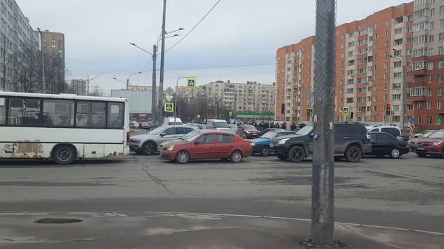 Человейник превращает трафик в вечную пробку
