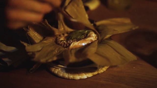 Noma's Jungle Pop-up Restaurant in Tulum, Mexico смотреть онлайн