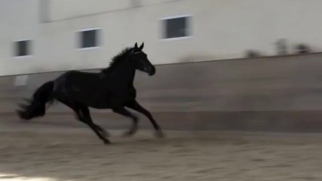 Вороная кобыла 1 1 смотреть онлайн