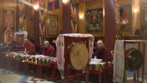 Старая деревня / «Малые родины большого Петербурга»