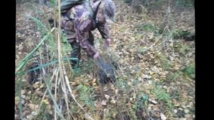 Рейд на озеро Вервижское