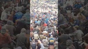 БУЗКАШИ ГУЛИСОЙ Н. РУДАКИ