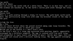 Zork I - first steps