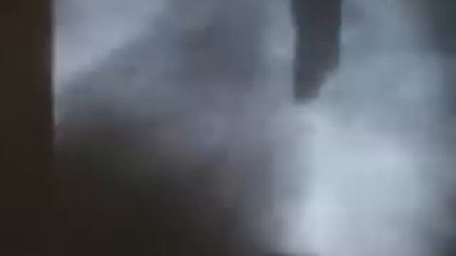 Движение пищи по пищеварительной системе