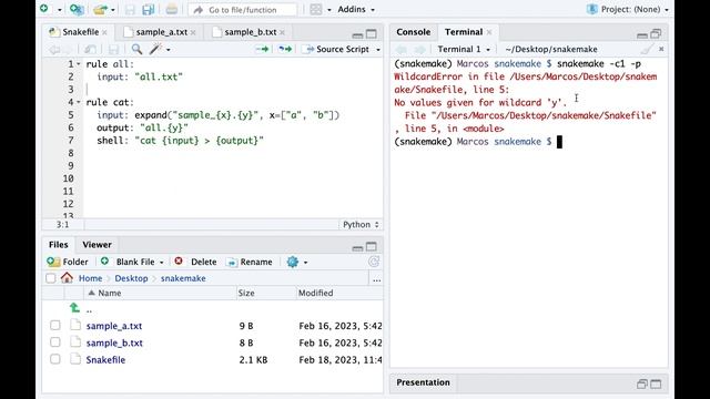 Snakemake input functions