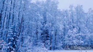 По Новогоднему закону