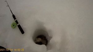 Рыбалка на Судака на ОВХ 31км