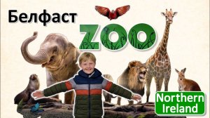 Зоопарк Белфаста / Северная Ирландия