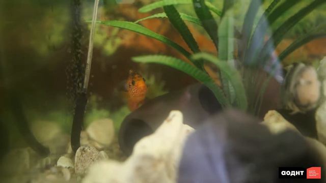 АОДНТ В ЛИЦАХ: СЕРГЕЙ ЮДИН смотреть онлайн