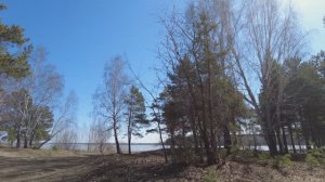 Прогулка в апрельском лесу в окрестностях Каслей