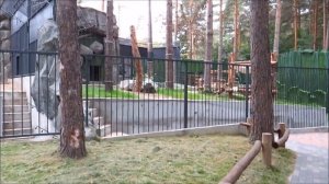 Вольеры бурых медведей 09.09.2022 Новосибирский зоопарк им. Р. А. Шило