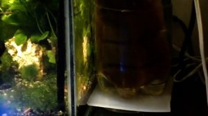 #Aquarium. Внешний фильтр своими руками.