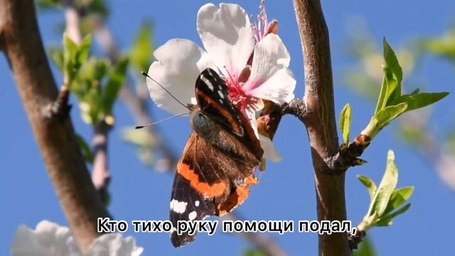 Цените тех, с кем маска — ни к чему #отсердцаксердцу #стихисосмыслом