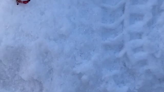 Плотва на корм Снасти Здрасьте, использование зимнего фидера !!!! смотреть онлайн