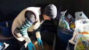 Куры несутся как летом. Лучший домашний комбикорм для зимы.