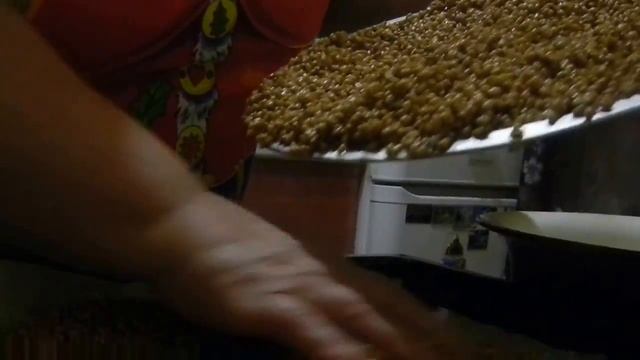 Как я подготавливаю зерно для проращивания своим курам несушкам
