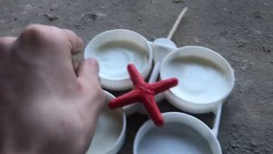 Выявление субклинического( скрытого) мастита у коров КЕНОТЕСТОМ