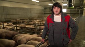 Агроэлита: особый откорм