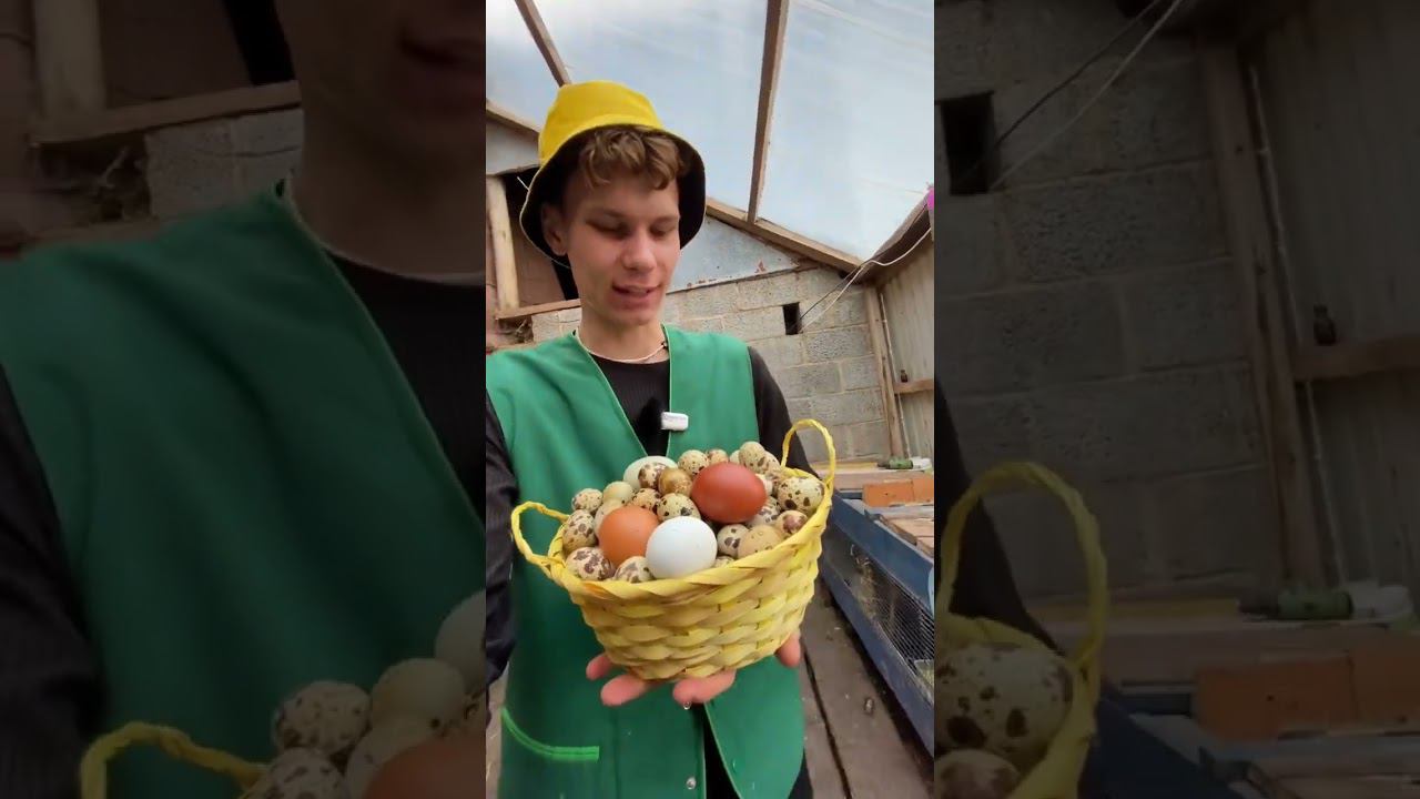 Стройка, огород и животина - всем внимание нужно уделить Страусята растут не по дням, а по часам смотреть онлайн