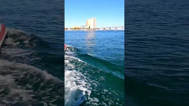 Crystal Clear Water @ Peanut Island