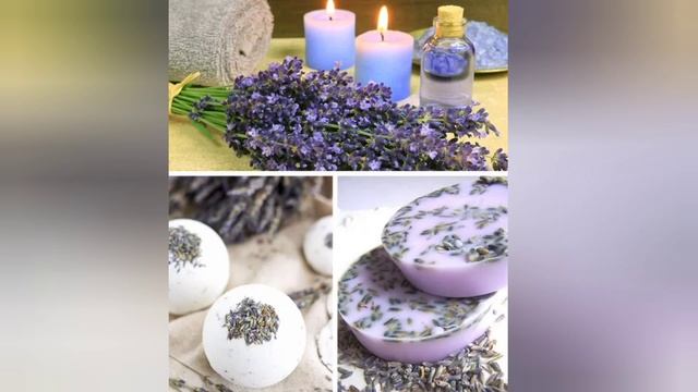 лаванда смотреть онлайн