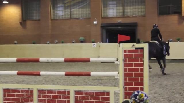 Продажа лошадей ганноверской породы. Купить коня. Удо Колор. ПХ "Бреч" смотреть онлайн