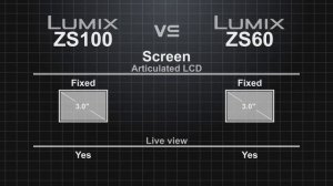 Panasonic Lumix ZS100 (ZS110/TZ100) vs Panasonic Lumix ZS60 (TZ80)