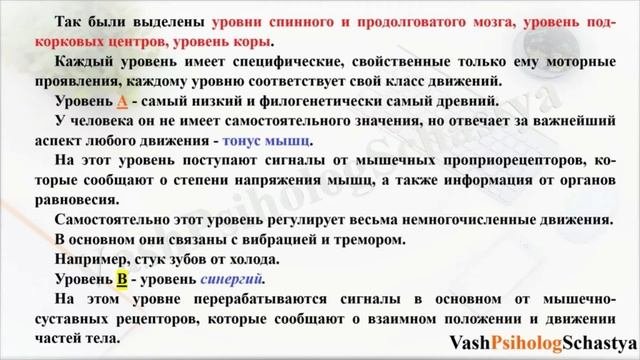 ⚡ 5.4. Физиология движений и физиология активности