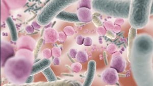 Самый полезный плод! Что будет с организмом, если съедать 1 гранат в день