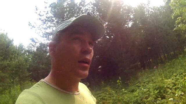 кедрач сбор шишек 1 смотреть онлайн