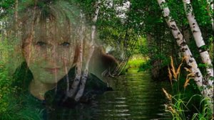 Гр Курнуц -  Белая берёза