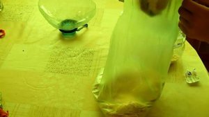 как развести опарышей в домашних условиях