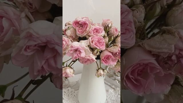 Чем подкормить розы в вазе чтобы дольше стояли? ?