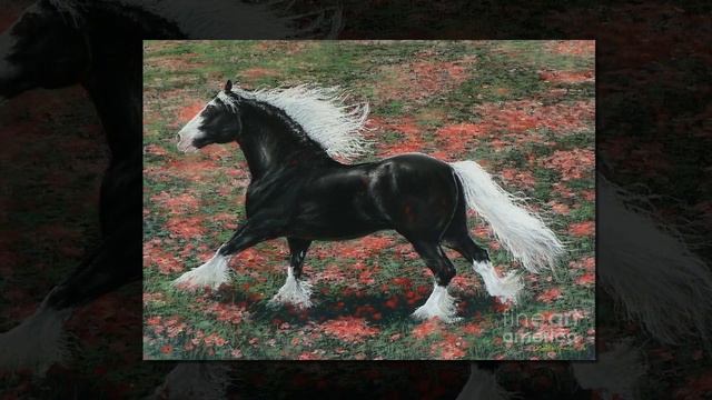 лошадь породы тинкер смотреть онлайн