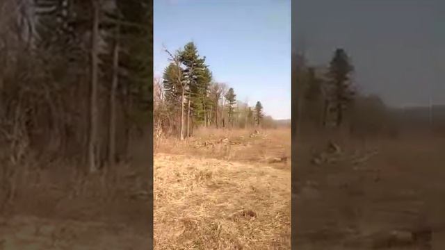 Фрезую под овес кабанам смотреть онлайн