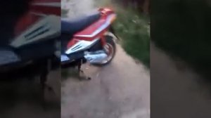 Что нужно делать при покупки скутера