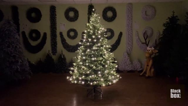 Black Box - ОБЗОР искусственной ели Крымская 100% литая с лампами смотреть онлайн