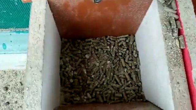 Драки нет,уже хорошо! смотреть онлайн