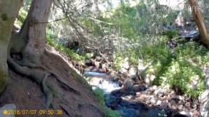 Иссык-Куль (Экскурсия в Григорьевское ущелье)