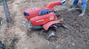 HONDA F810-FRESE MIRACOLO