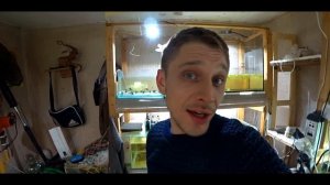 ПРОДОЛЖАЕМ ВЫТЯГИВАТЬ (ЛЕЧИТЬ) СКАЛЯРИЮ!!!