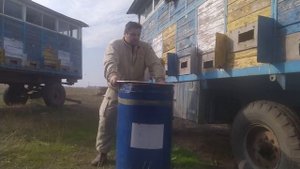 ?Оптовая цена мёда. Заготовители играют на нервах